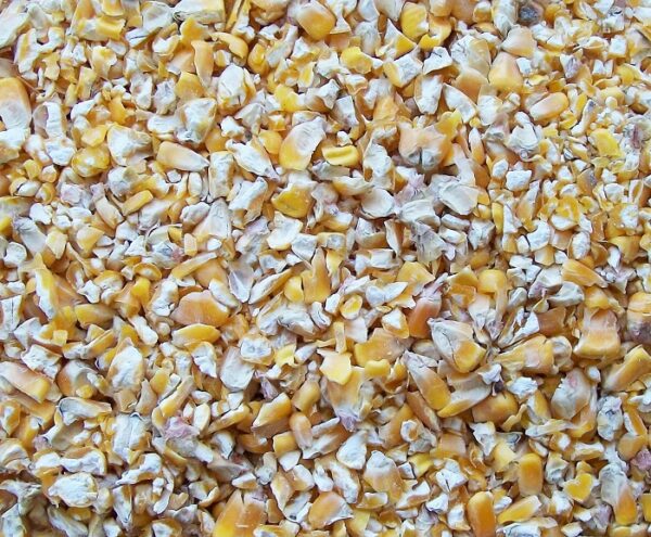 Cracked pig feed corn.