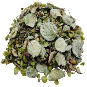 Dittany of Crete imported from Greece, sold by the pound.