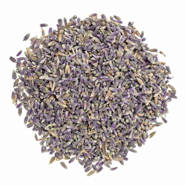 Lavender flowers.