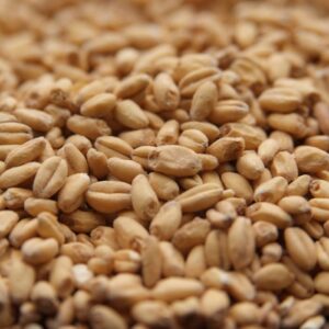 White wheat malt.