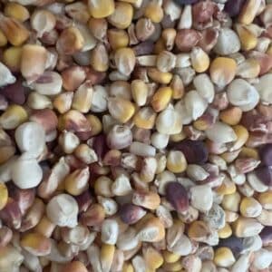 Rustic Creek Heirloom Corn