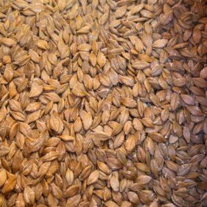 Unmalted barley for distilling whiskey.