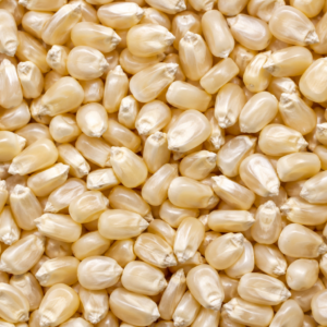 Truckers white corn for making moonshine spirits.